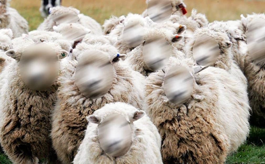 Berhaji Mestikah Berkurban?